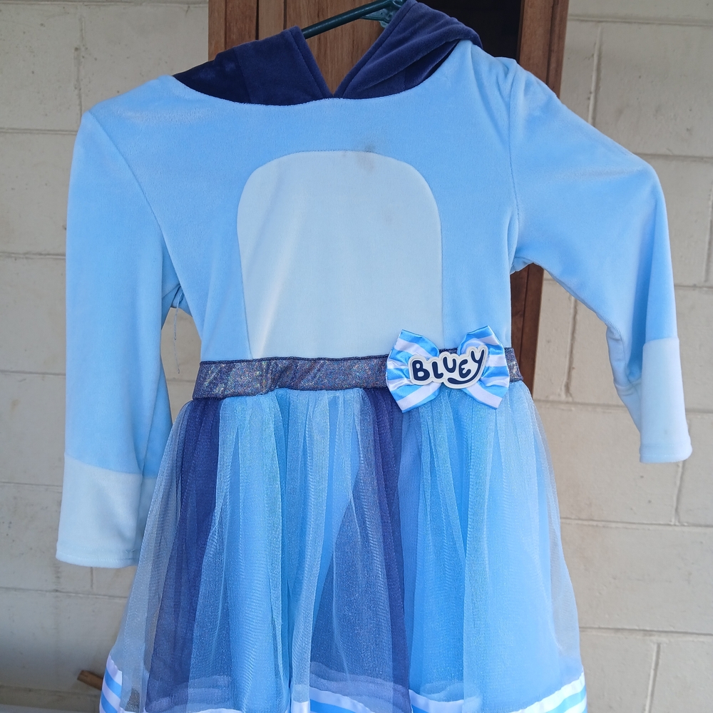 Bluey Kids' Costume Dress